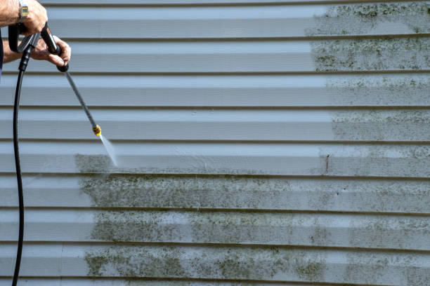 Best Construction Debris Removal  in Chase, PA